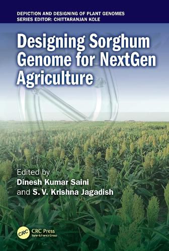 Cover image for Designing Sorghum Genome for NextGen Agriculture