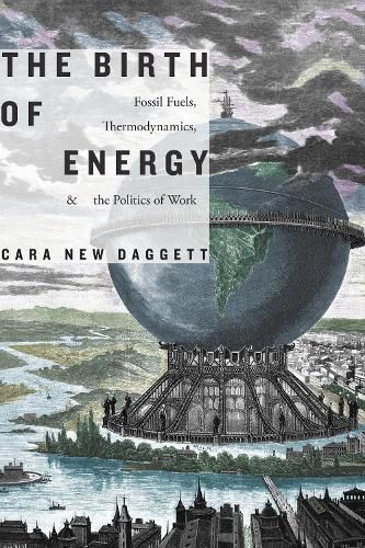 Cover image for The Birth of Energy: Fossil Fuels, Thermodynamics, and the Politics of Work