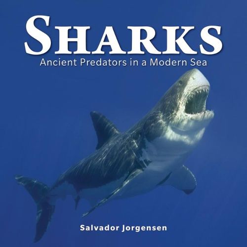 Cover image for Sharks: Ancient Predators in a Modern Sea