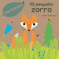 Cover image for Mi Pequeno Zorro