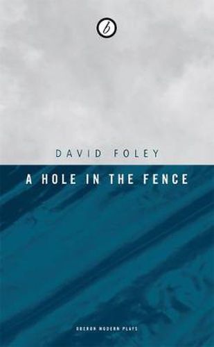Cover image for A Hole in the Fence