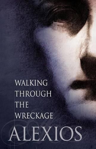 Cover image for Walking Through the Wreckage: Observations on Life and Other Abominations