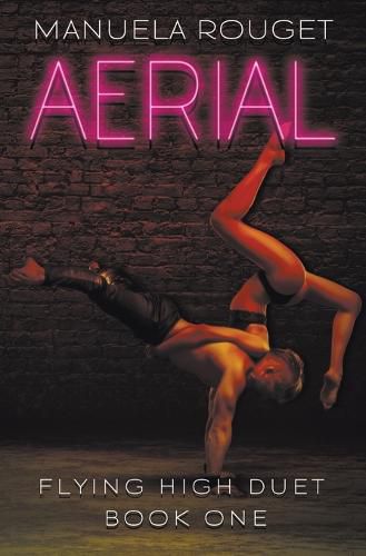 Cover image for Aerial