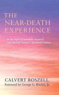 Cover image for The Near-Death Experience