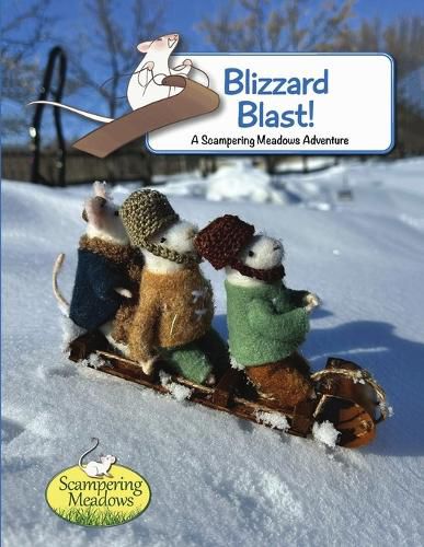 Cover image for Blizzard Blast