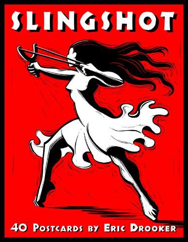 Cover image for Slingshot