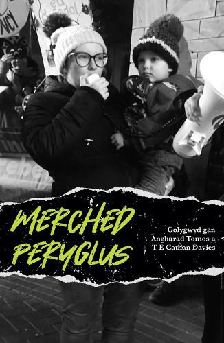 Cover image for Merched Peryglus