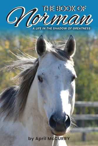 Cover image for The Book of Norman