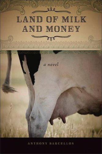 Cover image for Land of Milk and Money: A Novel