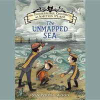 Cover image for The Unmapped Sea Lib/E