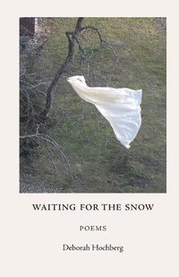 Cover image for Waiting for the Snow: Poems