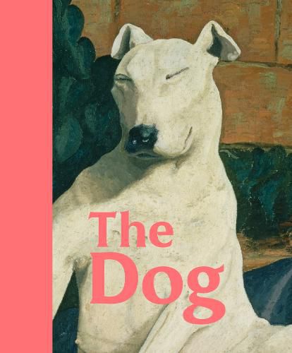 Cover image for The Dog