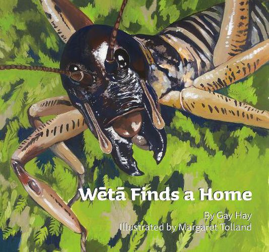 W&#275;t&#257; Finds a Home