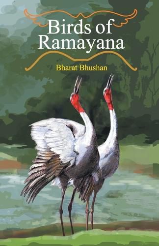 Cover image for Birds of Ramayana