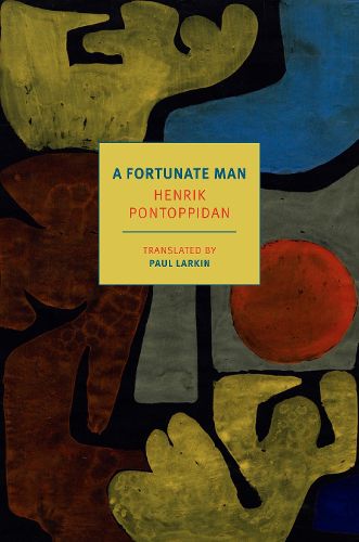 Cover image for A Fortunate Man