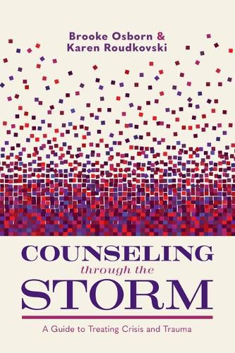 Cover image for Counseling Through the Storm