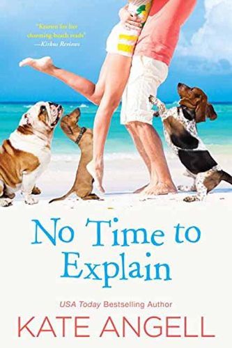 Cover image for No Time To Explain