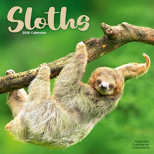 Cover image for Sloths Calendar 2026 Square Animal Wall Calendar - 16 Month