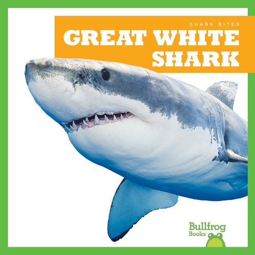 Cover image for Great White Shark