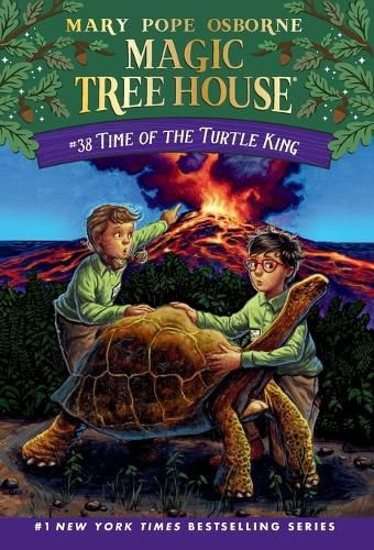 Cover image for Time of the Turtle King