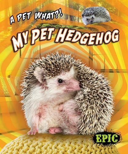 Cover image for My Pet Hedgehog
