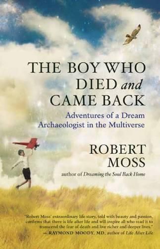 Cover image for The Boy Who Died and Came Back: Adventures of a Dream Archaeologist in the Multiverse