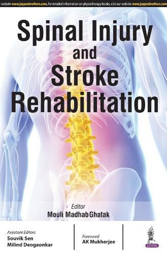 Cover image for Spinal Injury and Stroke Rehabilitation
