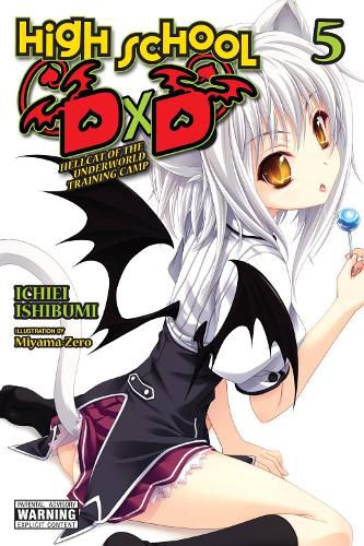 Cover image for High School DxD, Vol. 5 (light novel)