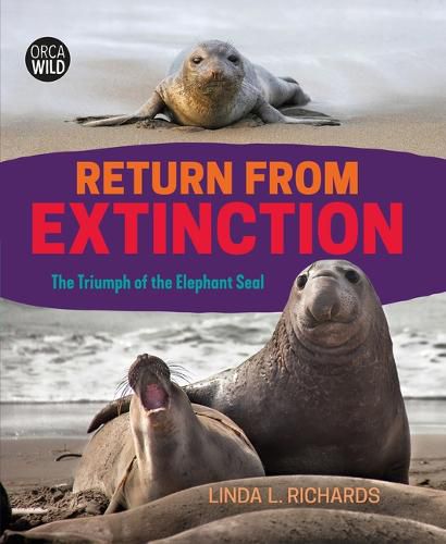 Return from Extinction: The Triumph of the Elephant Seal