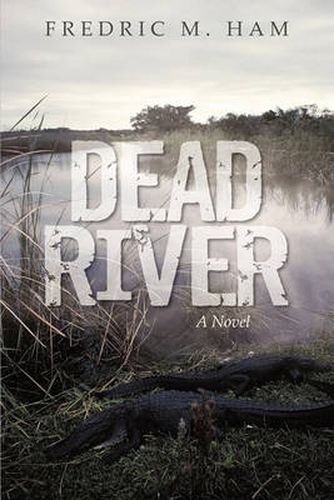 Cover image for Dead River