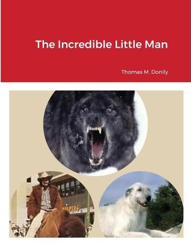 Cover image for The Incredible Little Man