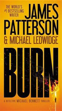 Cover image for Burn