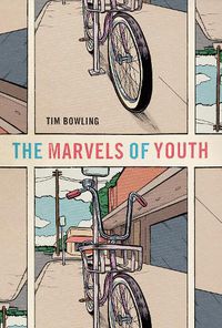 Cover image for The Marvels of Youth
