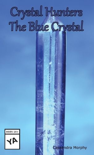 Cover image for Crystal Hunters