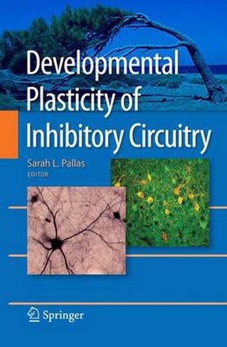 Cover image for Developmental Plasticity of Inhibitory Circuitry