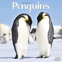 Cover image for Penguins Calendar 2025 Square Animal Wall Calendar - 16 Month