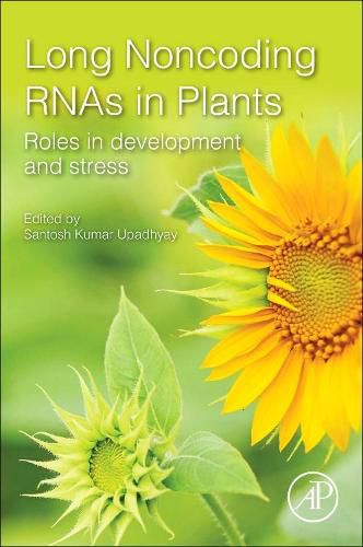 Cover image for Long Noncoding RNAs in Plants: Roles in Development and Stress