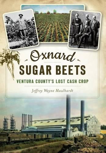 Cover image for Oxnard Sugar Beets: Ventura County's Lost Cash Crop