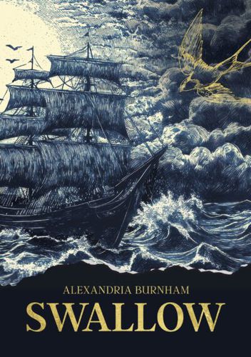 Cover image for Swallow