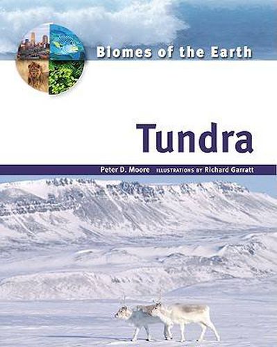 Cover image for Tundra