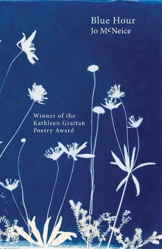 Cover image for Blue Hour