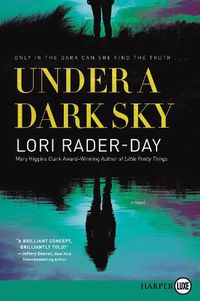 Cover image for Under A Dark Sky: A Novel [Large Print]