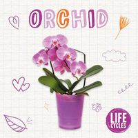 Cover image for Orchid