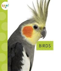 Cover image for Birds