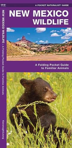 Cover image for New Mexico Wildlife: A Folding Pocket Guide to Familiar Species