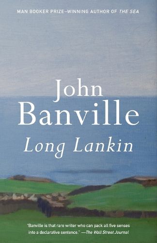 Cover image for Long Lankin