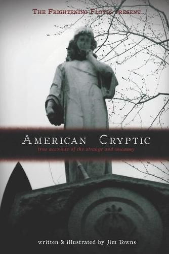 Cover image for American Cryptic