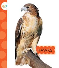 Cover image for Hawks