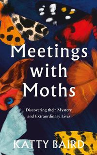 Cover image for Meetings with Moths: Discovering Their Mystery and Extraordinary Lives