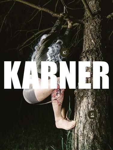 Cover image for Karl Karner